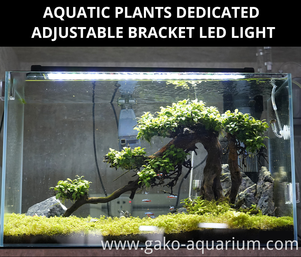 Led Aquarium Light